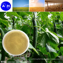 Amino Acid Powder (Fertilizer Grade)